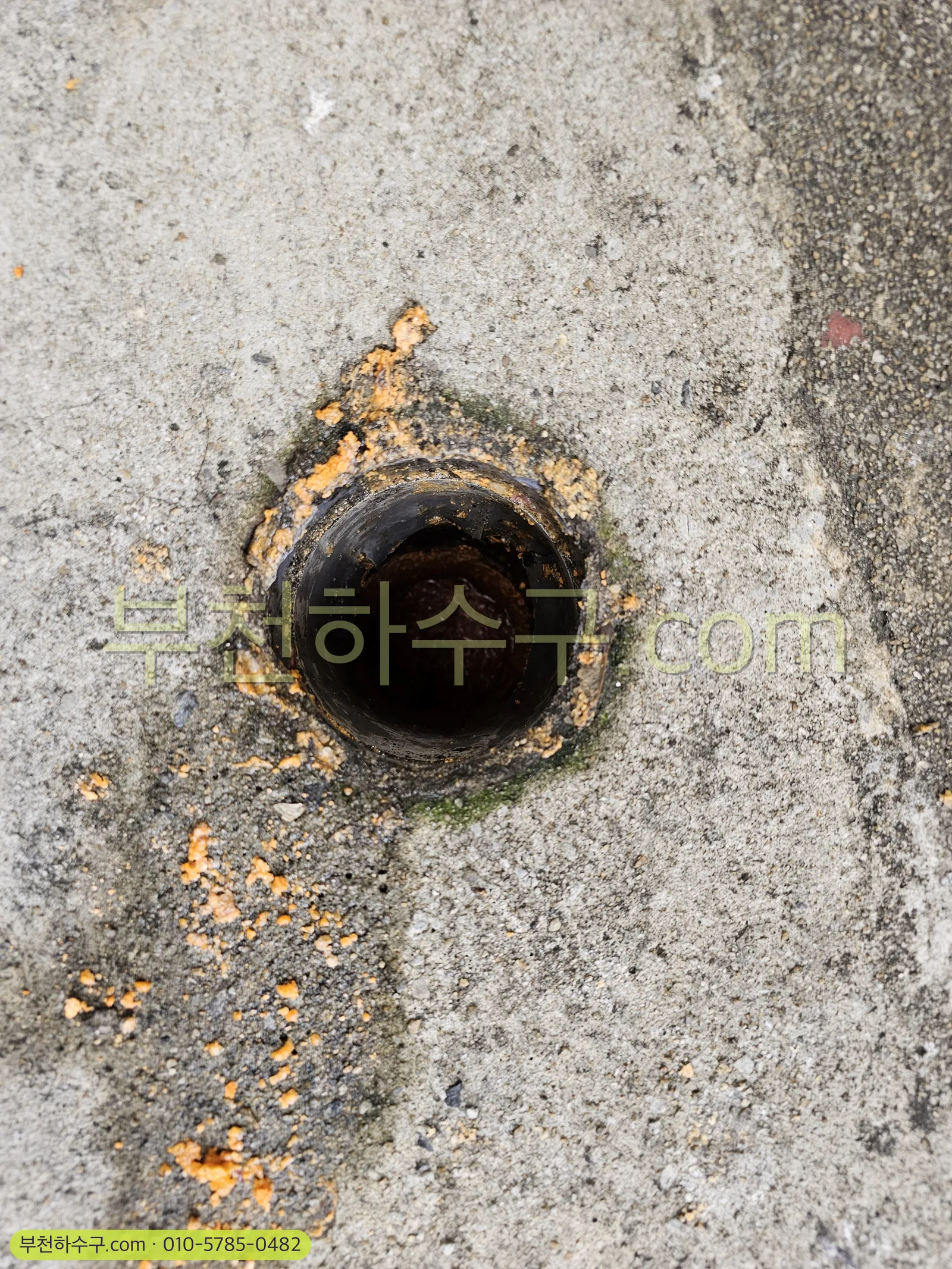 바닥 배수구 역류 — 바닥 배수구 역류 지점 확인